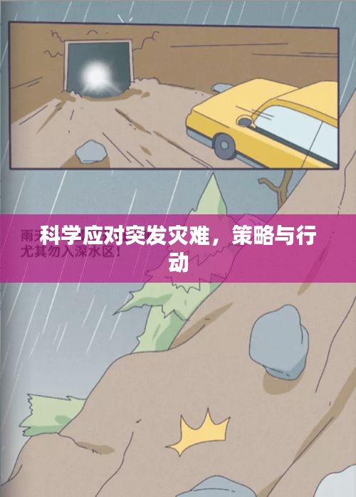 科学应对突发灾难，策略与行动