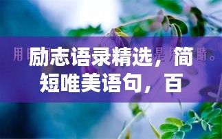 励志语录精选，简短唯美语句，百度收录标准标题