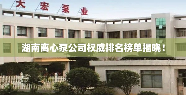湖南离心泵公司权威排名榜单揭晓！
