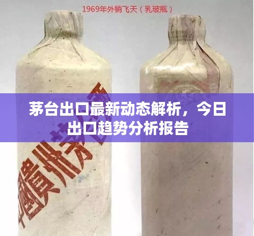 茅台出口最新动态解析，今日出口趋势分析报告