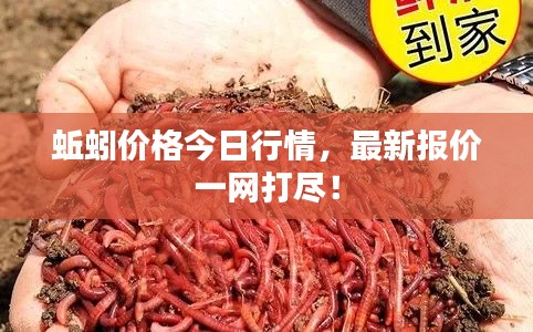 省吃细用
