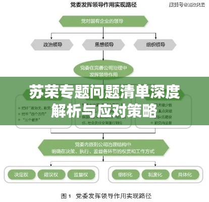 苏荣专题问题清单深度解析与应对策略