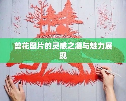 剪花图片的灵感之源与魅力展现