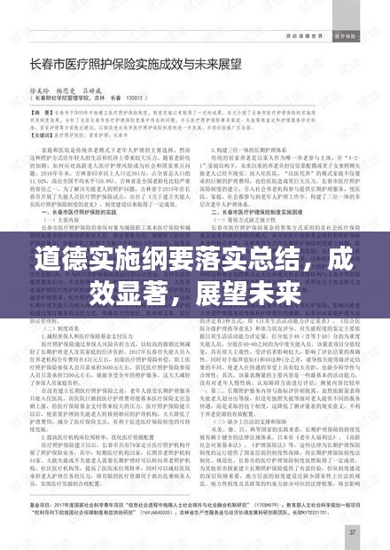 道德实施纲要落实总结，成效显著，展望未来