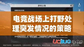 电竞战场上打野处理突发情况的策略，关键角色与应对策略揭秘