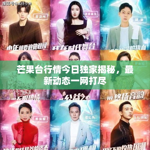 芒果台行情今日独家揭秘，最新动态一网打尽