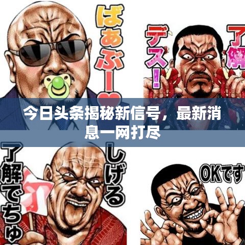 今日头条揭秘新信号，最新消息一网打尽
