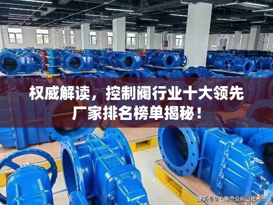 权威解读，控制阀行业十大领先厂家排名榜单揭秘！
