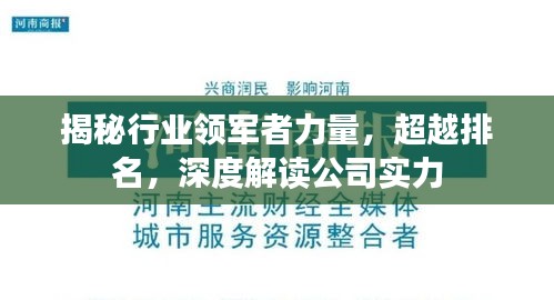 揭秘行业领军者力量，超越排名，深度解读公司实力