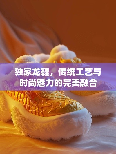 独家龙鞋，传统工艺与时尚魅力的完美融合