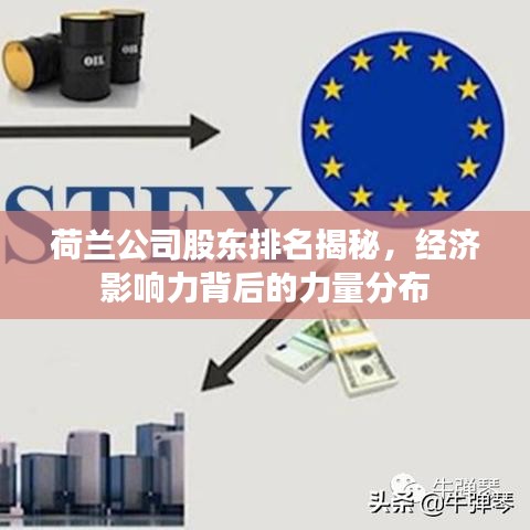 荷兰公司股东排名揭秘，经济影响力背后的力量分布