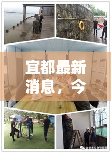 宜都最新消息，今日封城动态更新