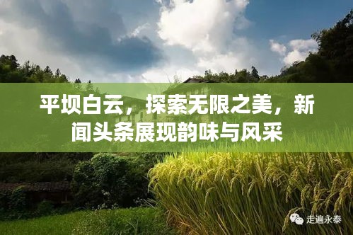 平坝白云，探索无限之美，新闻头条展现韵味与风采