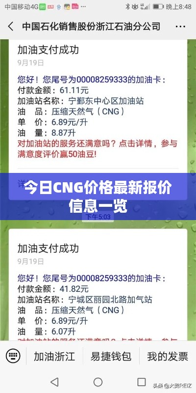 今日CNG价格最新报价信息一览