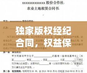 独家版权经纪合同，权益保障与责任明确全攻略