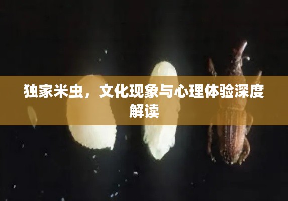 独家米虫，文化现象与心理体验深度解读