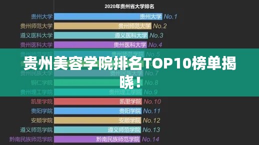 贵州美容学院排名TOP10榜单揭晓！