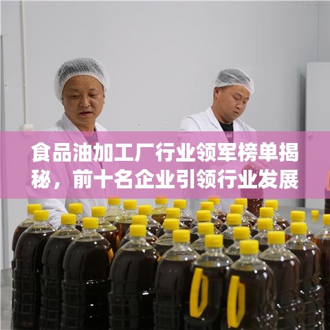 伸手不见五指