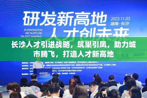 长沙人才引进战略，筑巢引凤，助力城市腾飞，打造人才新高地