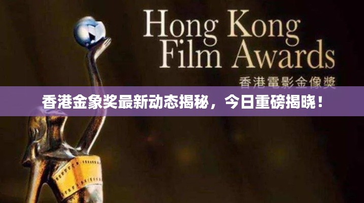 香港金象奖最新动态揭秘，今日重磅揭晓！