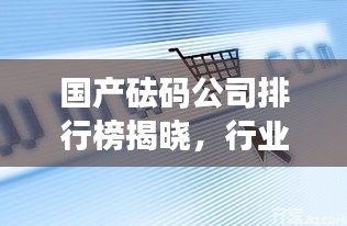 国产砝码公司排行榜揭晓，行业影响力与市场份额揭秘