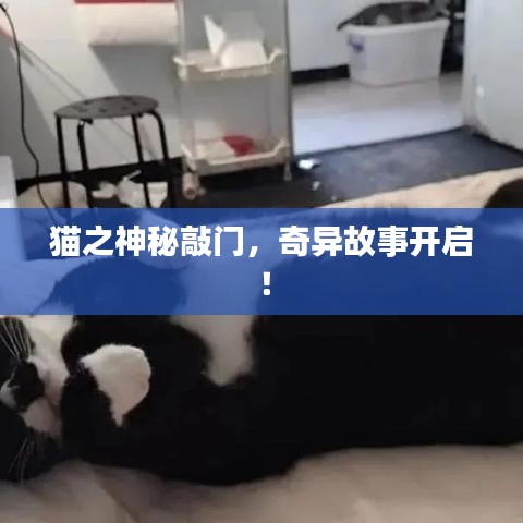 箭拔弩张