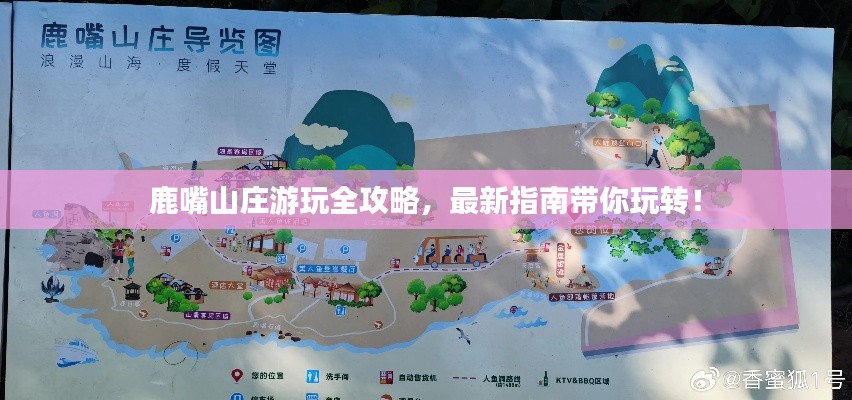 粗枝大叶