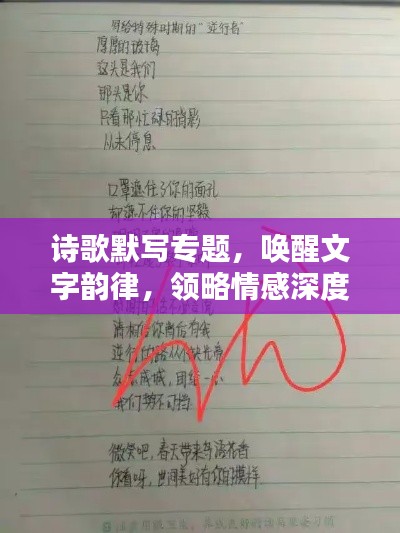 诗歌默写专题，唤醒文字韵律，领略情感深度