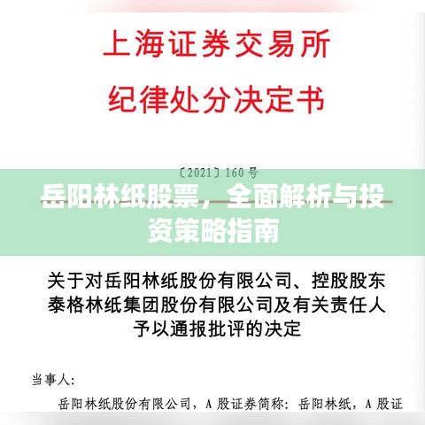 岳阳林纸股票，全面解析与投资策略指南