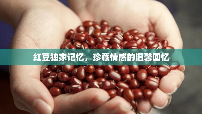 红豆独家记忆，珍藏情感的温馨回忆