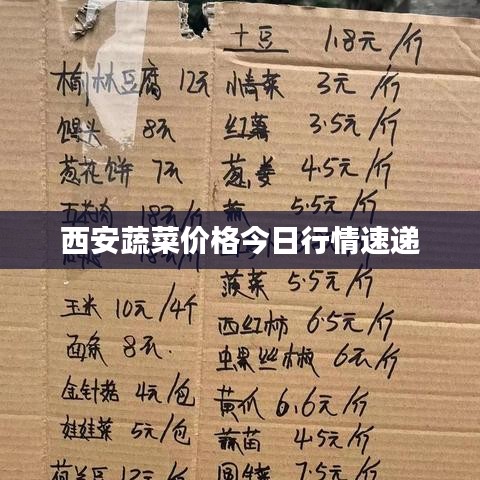 西安蔬菜价格今日行情速递