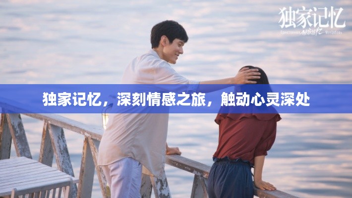 独家记忆，深刻情感之旅，触动心灵深处