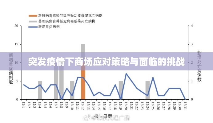 突发疫情下商场应对策略与面临的挑战