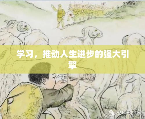 学习，推动人生进步的强大引擎