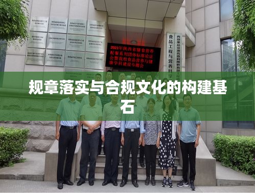规章落实与合规文化的构建基石