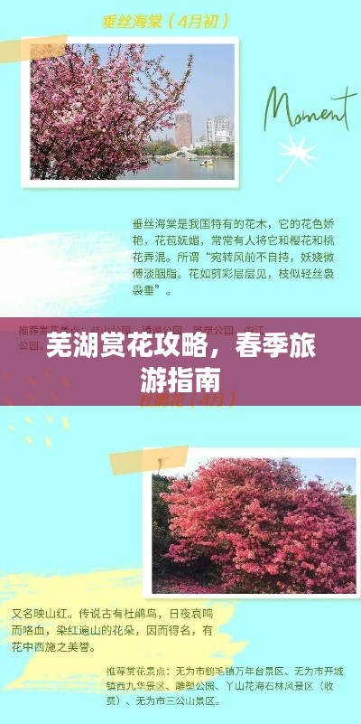 芜湖赏花攻略，春季旅游指南