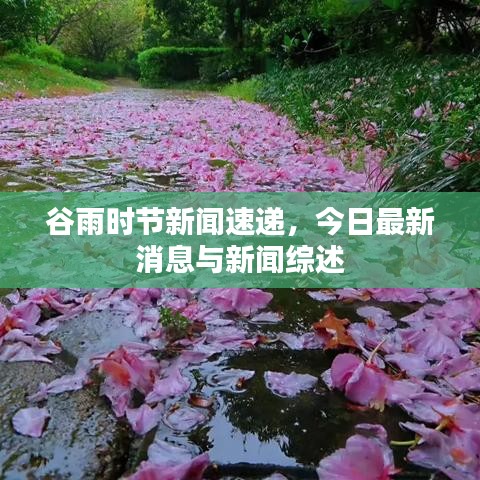 谷雨时节新闻速递，今日最新消息与新闻综述