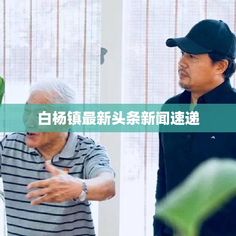 白杨镇最新头条新闻速递
