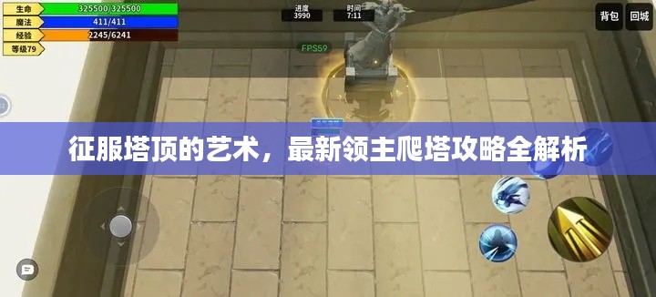 征服塔顶的艺术，最新领主爬塔攻略全解析