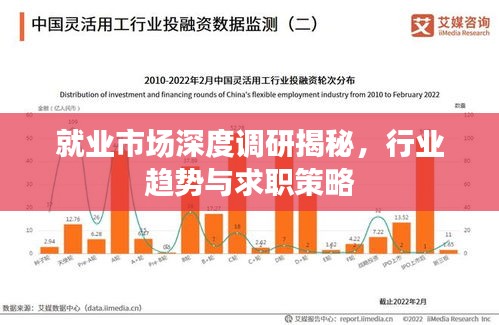 就业市场深度调研揭秘，行业趋势与求职策略
