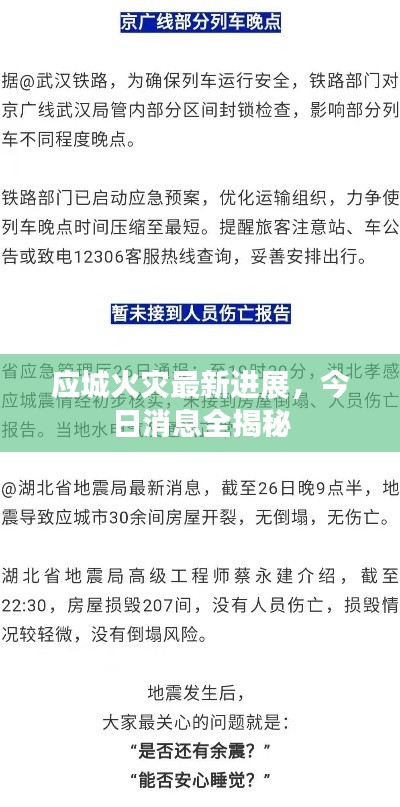 应城火灾最新进展，今日消息全揭秘
