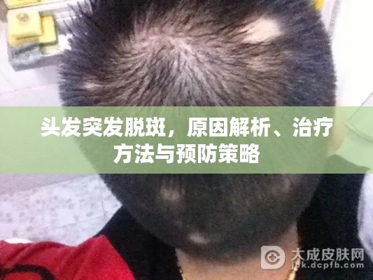 驾轻就熟