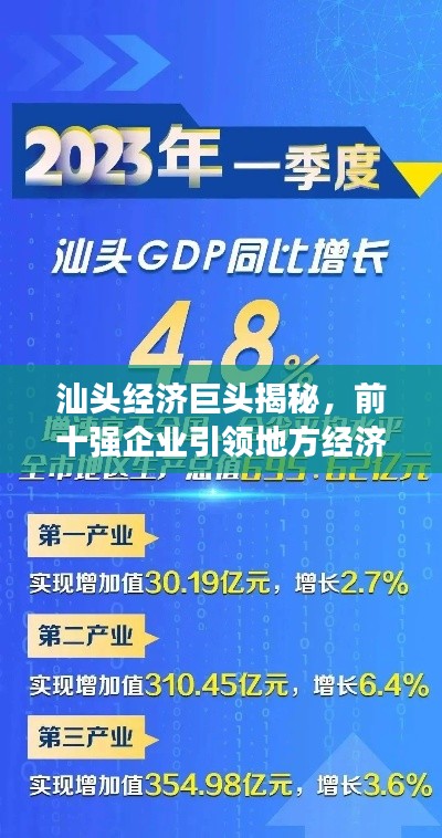 汕头经济巨头揭秘，前十强企业引领地方经济发展风潮
