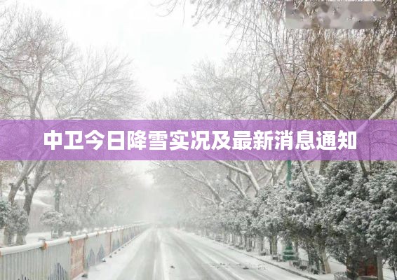 羊肠鸟道
