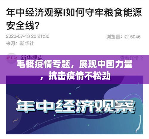 毛概疫情专题，展现中国力量，抗击疫情不松劲