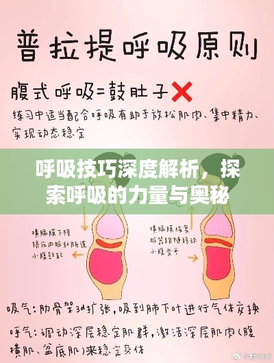 呼吸技巧深度解析，探索呼吸的力量与奥秘