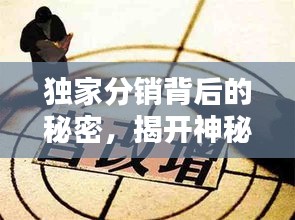 独家分销背后的秘密，揭开神秘面纱下的真相与定位探索