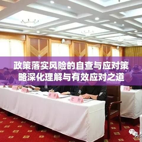 政策落实风险的自查与应对策略深化理解与有效应对之道