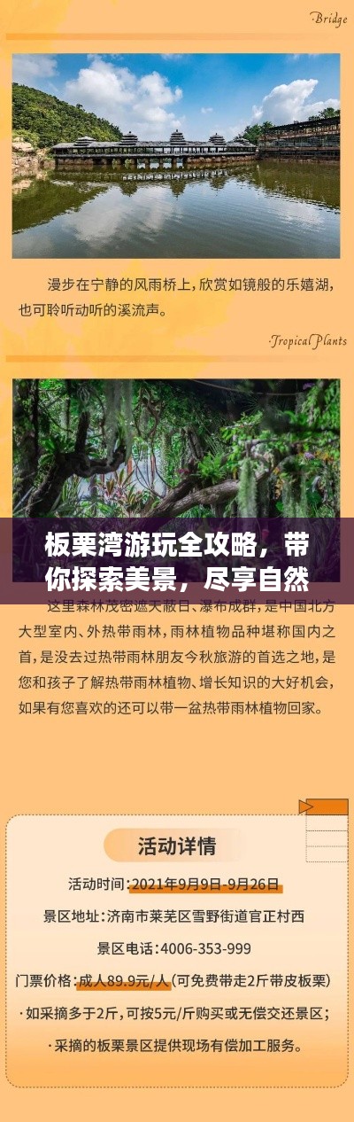 板栗湾游玩全攻略，带你探索美景，尽享自然盛宴！