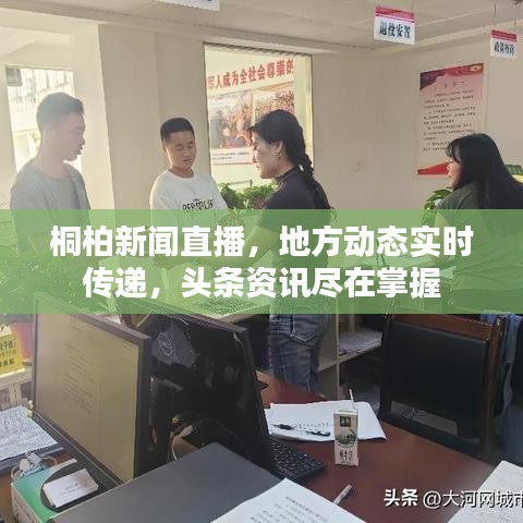 飞蛾扑火